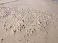 Sand, stones and dunes in ÃÂeba, Poland